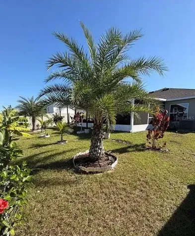 815 Ofanto Way Haines City FL 33844