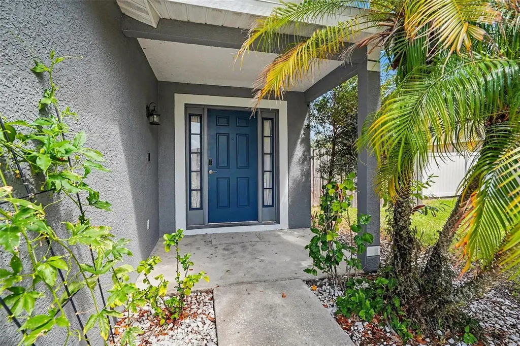 1317 Avonwood Court Lutz FL 33559