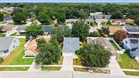 1317 Avonwood Court Lutz FL 33559