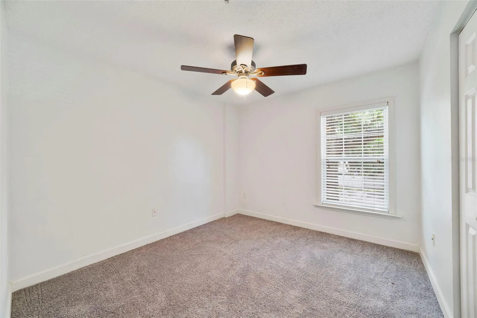 2019 Dixie Belle Drive Orlando FL 32812