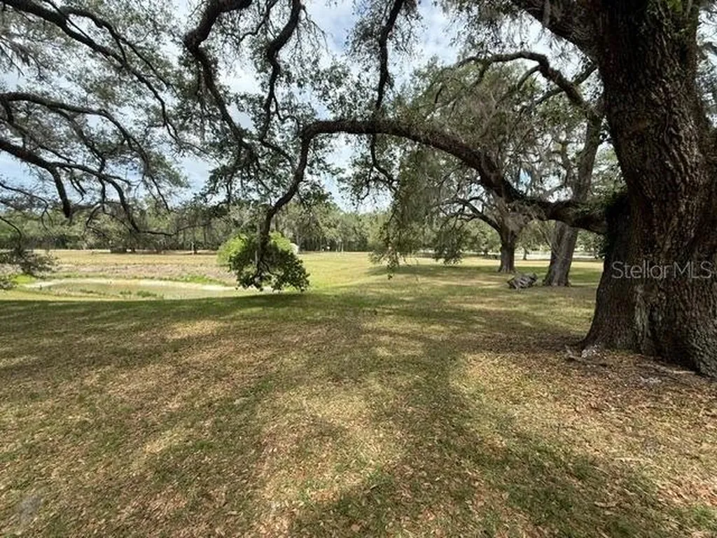 13337 SW 112 Street Dunnellon FL 34432