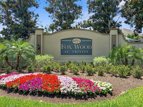 1718 Roseroot Court Trinity FL 34655