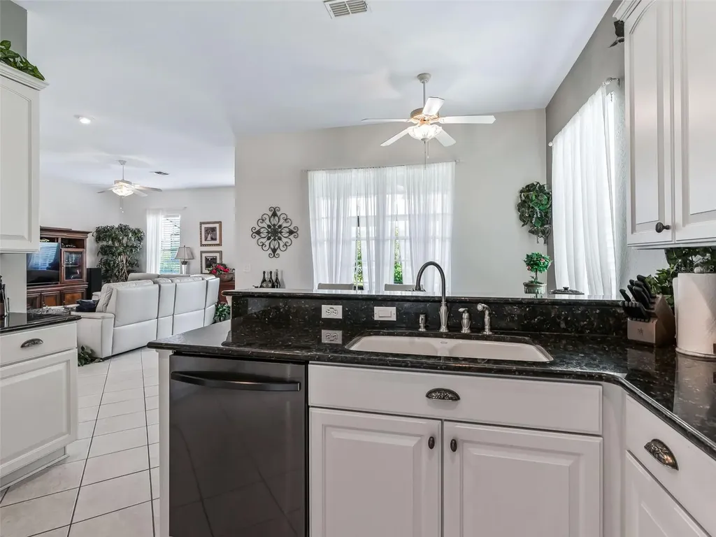 12421 SE 174th Loop Summerfield FL 34491