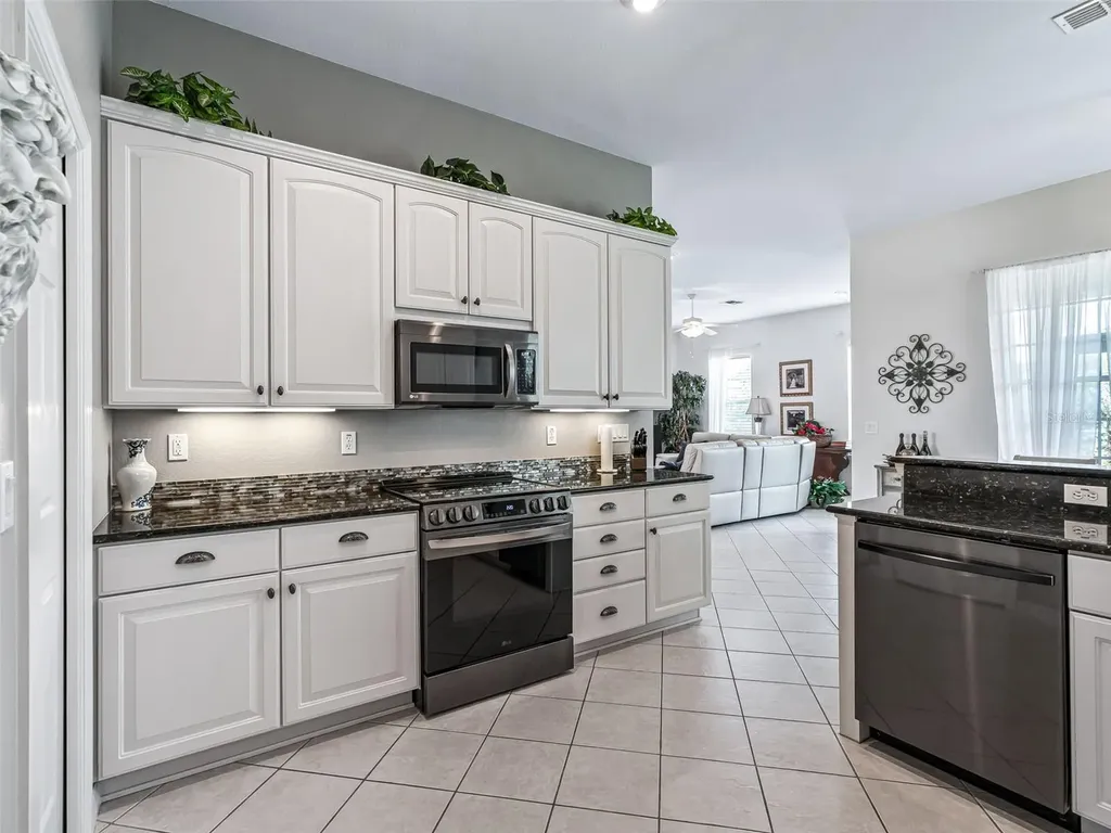 12421 SE 174th Loop Summerfield FL 34491