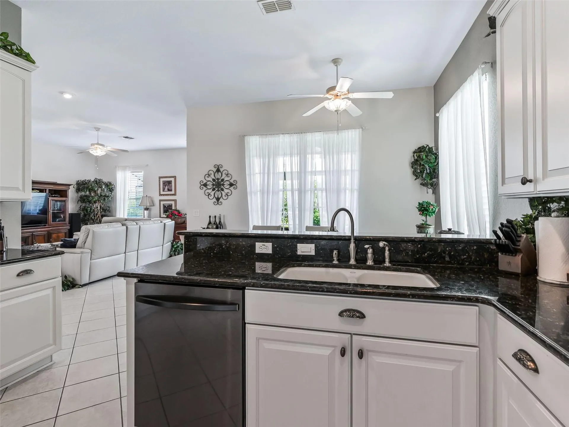 12421 SE 174th Loop Summerfield FL 34491