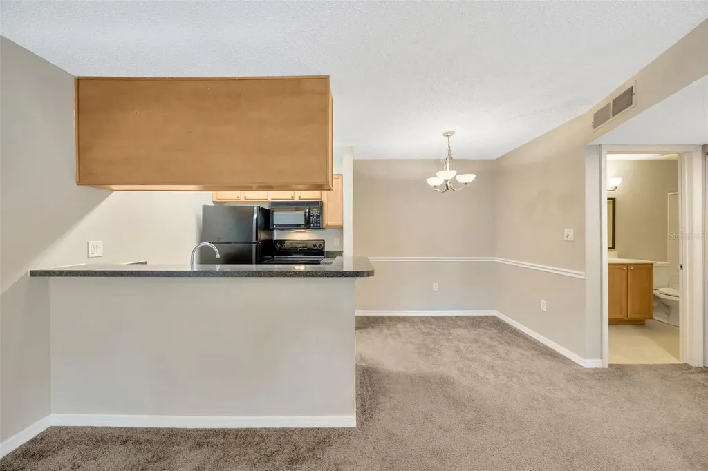 308 Lake Parsons Green Brandon FL 33511