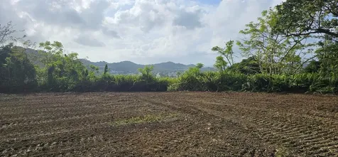 Mabo Humacao PR 00791