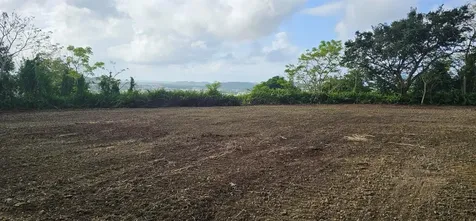 Mabo Humacao PR 00791
