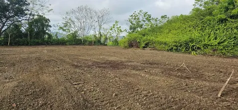 Mabo Humacao PR 00791