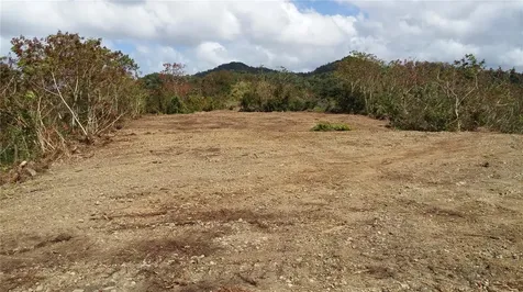 Mabo Humacao PR 00791