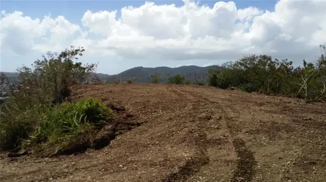 Mabo Humacao PR 00791