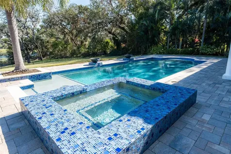 2041 Lake Fischer Cove Lane Gotha FL 34734