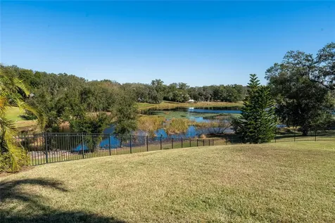 2041 Lake Fischer Cove Lane Gotha FL 34734