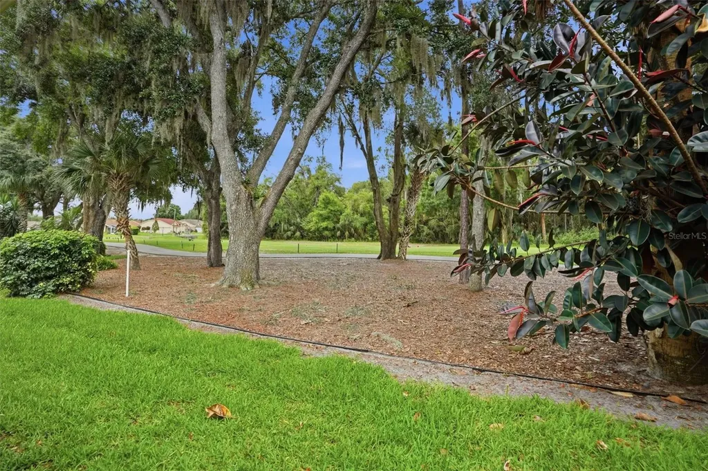 9215 Green Pines Terrace New Port Richey FL 34655
