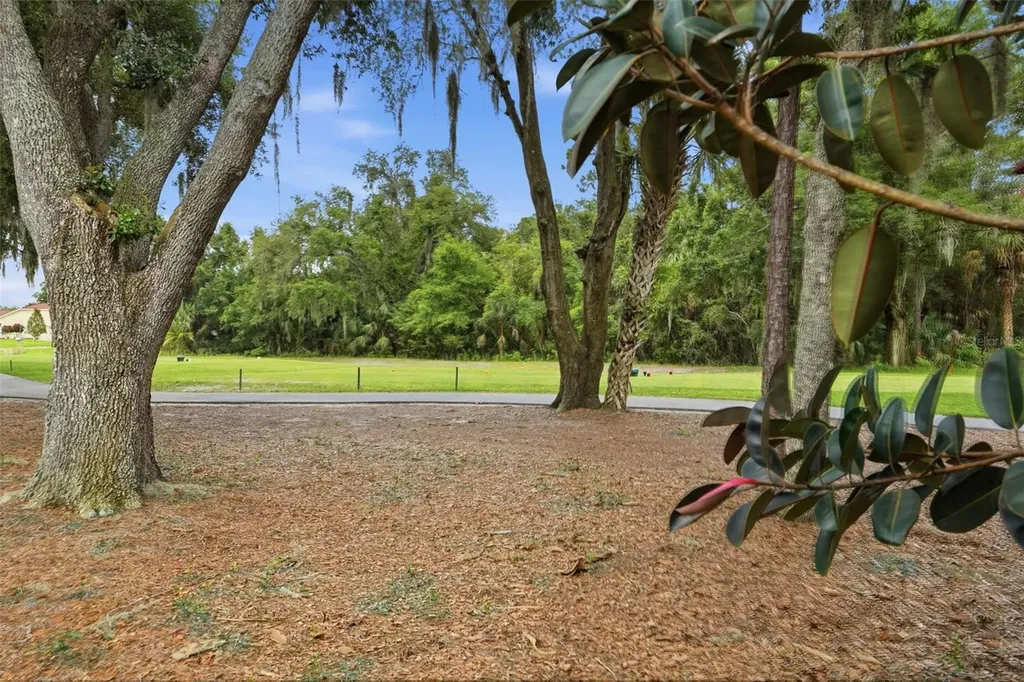9215 Green Pines Terrace New Port Richey FL 34655