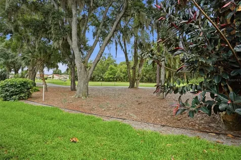9215 Green Pines Terrace New Port Richey FL 34655