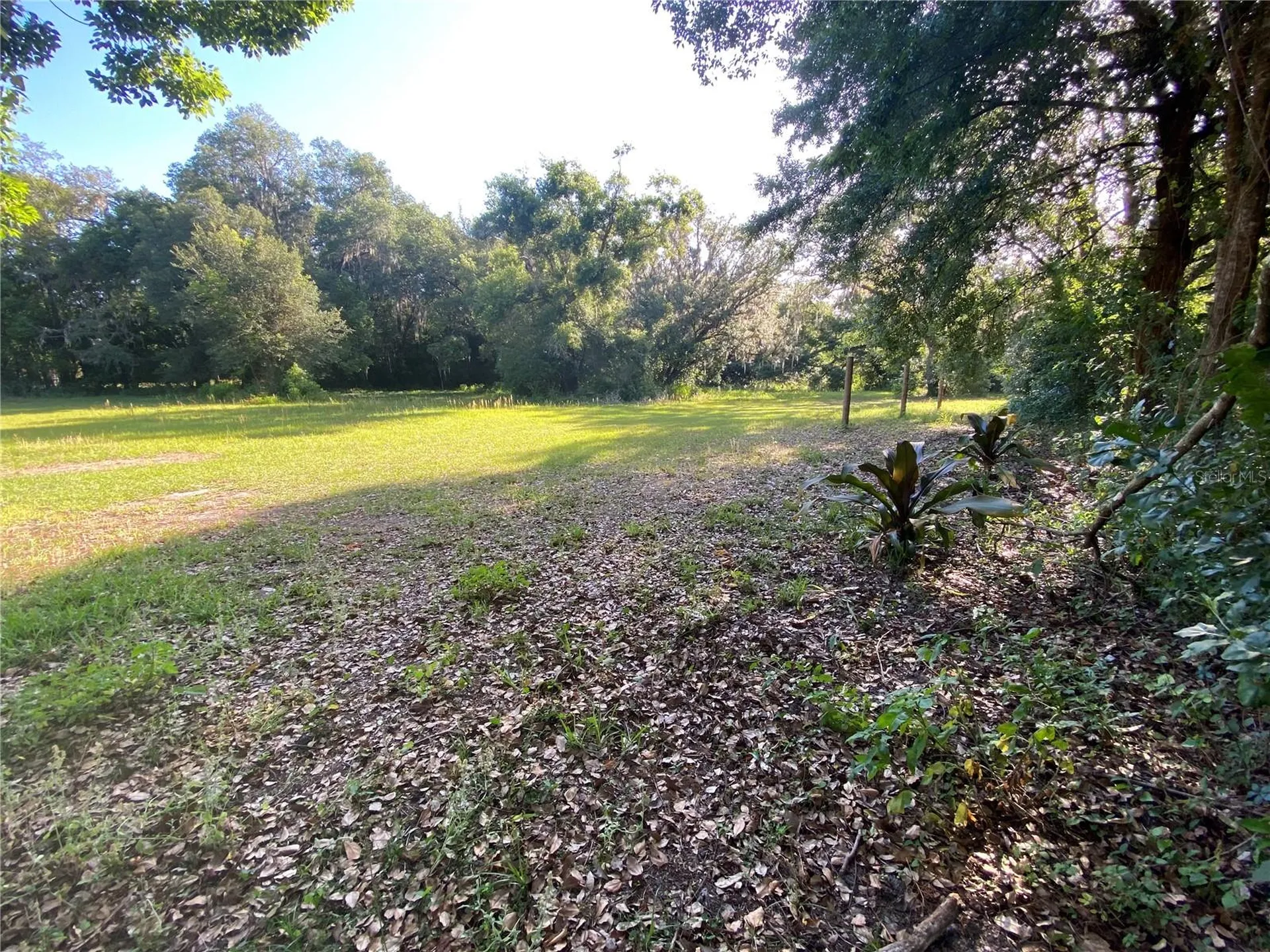 3810 Autumn Palm Drive Zephyrhills FL 33541