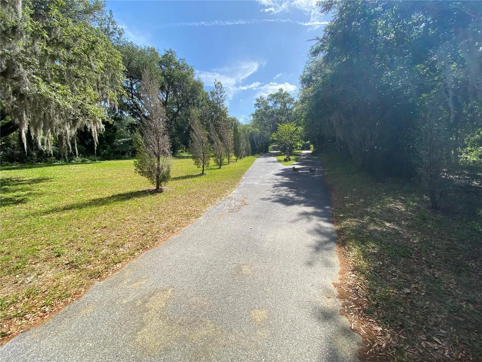 3810 Autumn Palm Drive Zephyrhills FL 33541
