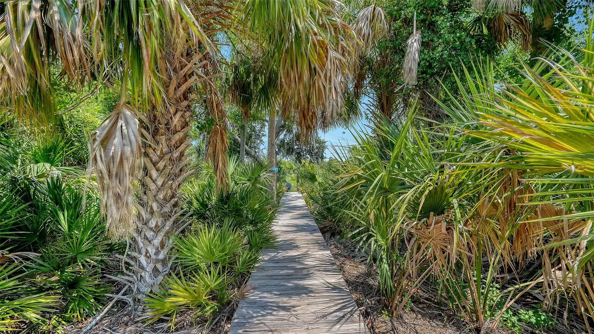 6209 Cypress Bend Court Bradenton FL 34201
