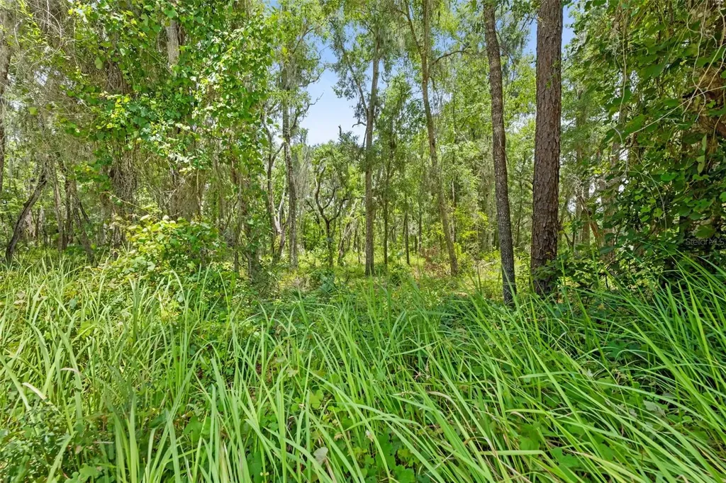 0 Ricebird Avenue Weeki Wachee FL 34614
