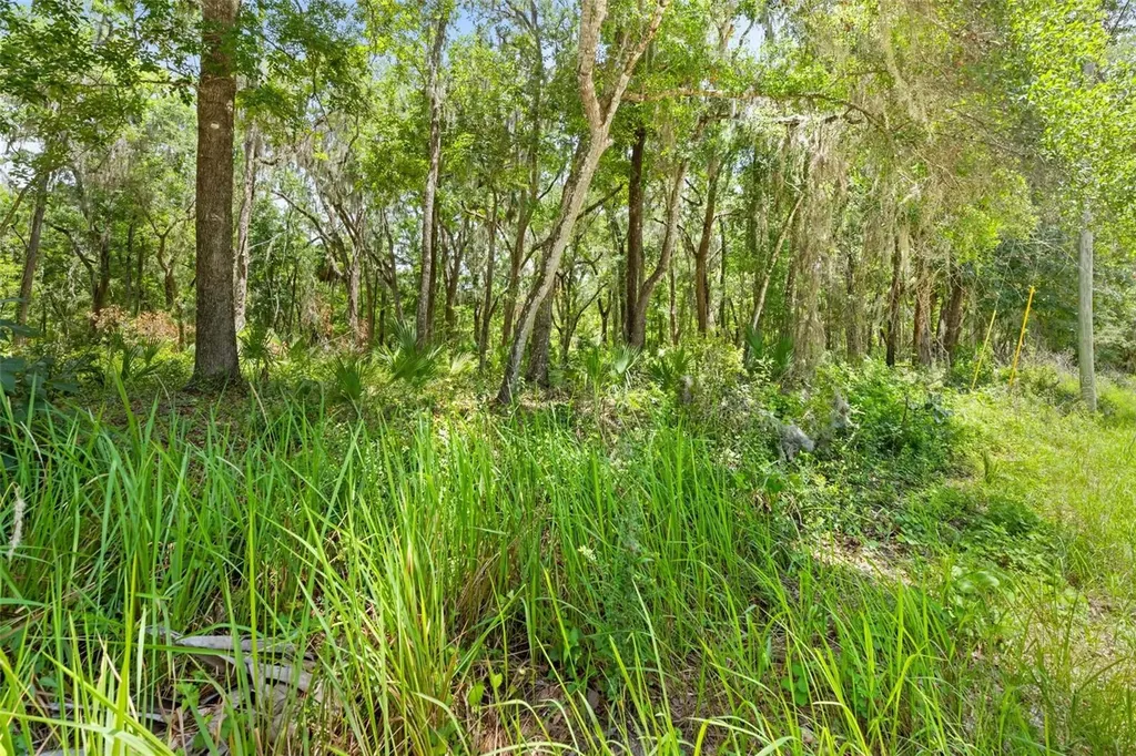 0 Ricebird Avenue Weeki Wachee FL 34614