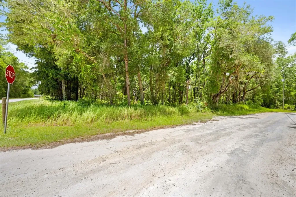 0 Ricebird Avenue Weeki Wachee FL 34614