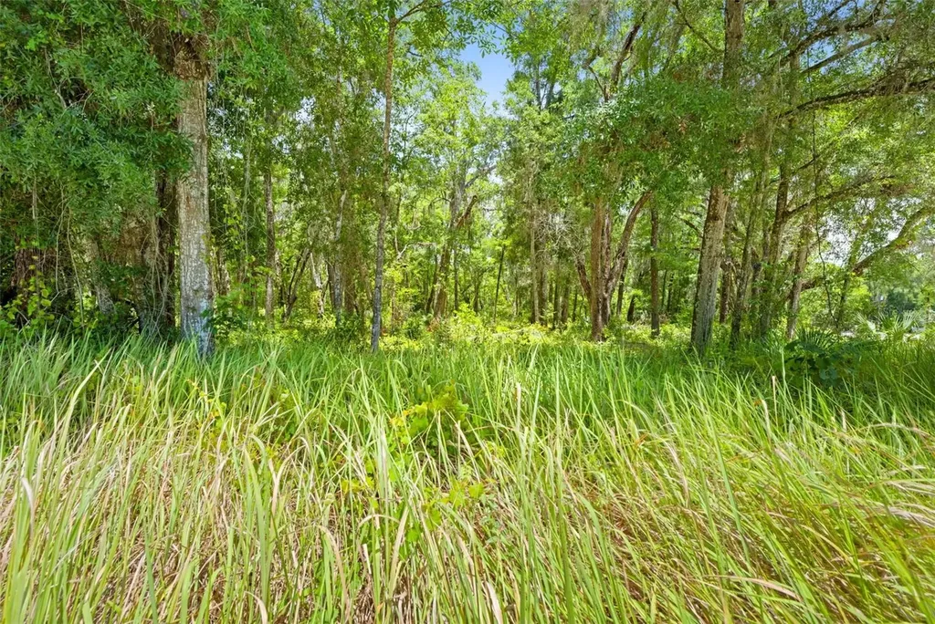 0 Ricebird Avenue Weeki Wachee FL 34614