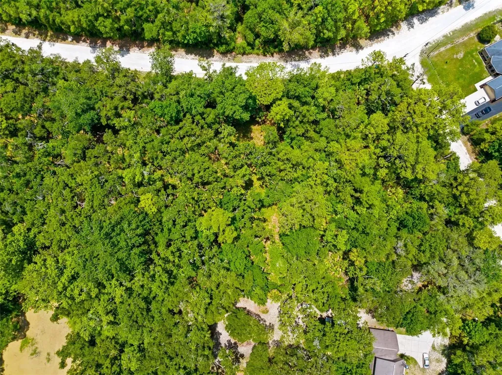 0 Ricebird Avenue Weeki Wachee FL 34614