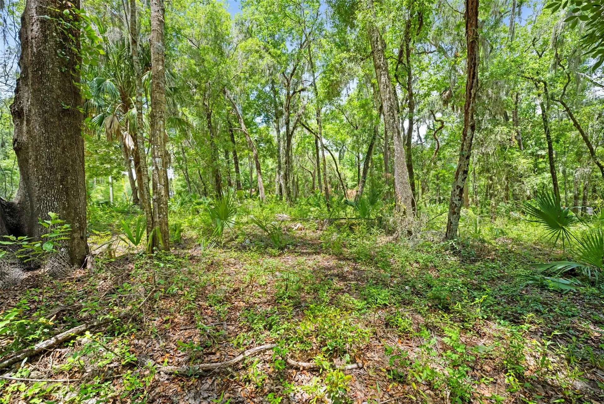 0 Ricebird Avenue Weeki Wachee FL 34614