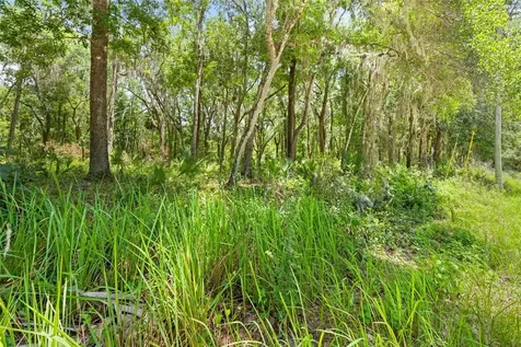 0 Ricebird Avenue Weeki Wachee FL 34614