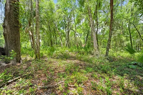 0 Ricebird Avenue Weeki Wachee FL 34614