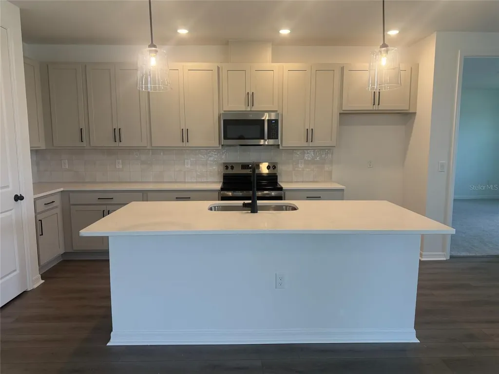 30157 Misty Pines Road Mount Dora FL 32757