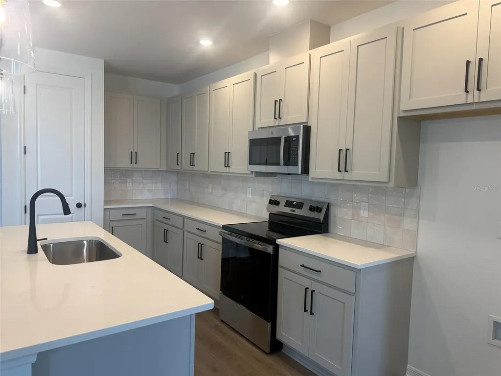 30157 Misty Pines Road Mount Dora FL 32757