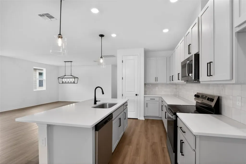 30157 Misty Pines Road Mount Dora FL 32757