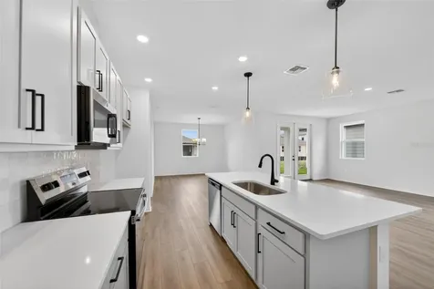30157 Misty Pines Road Mount Dora FL 32757