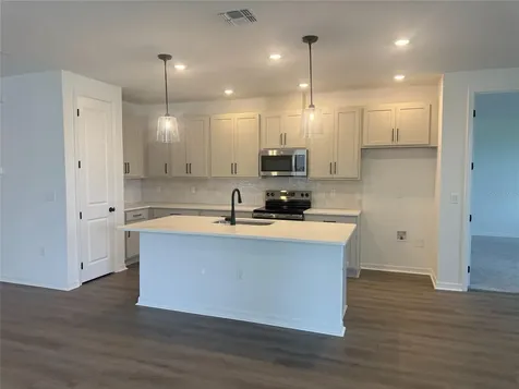 30157 Misty Pines Road Mount Dora FL 32757