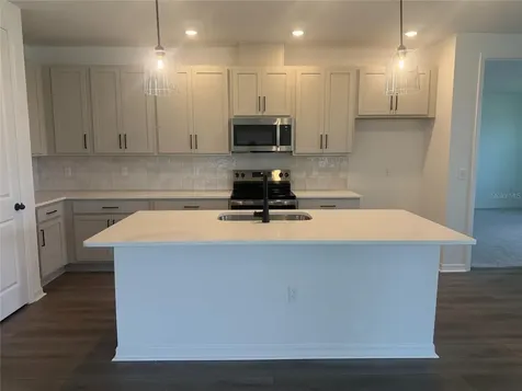 30157 Misty Pines Road Mount Dora FL 32757