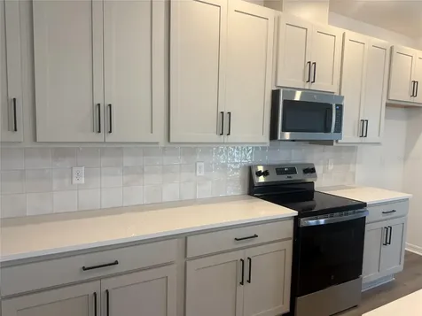 30157 Misty Pines Road Mount Dora FL 32757