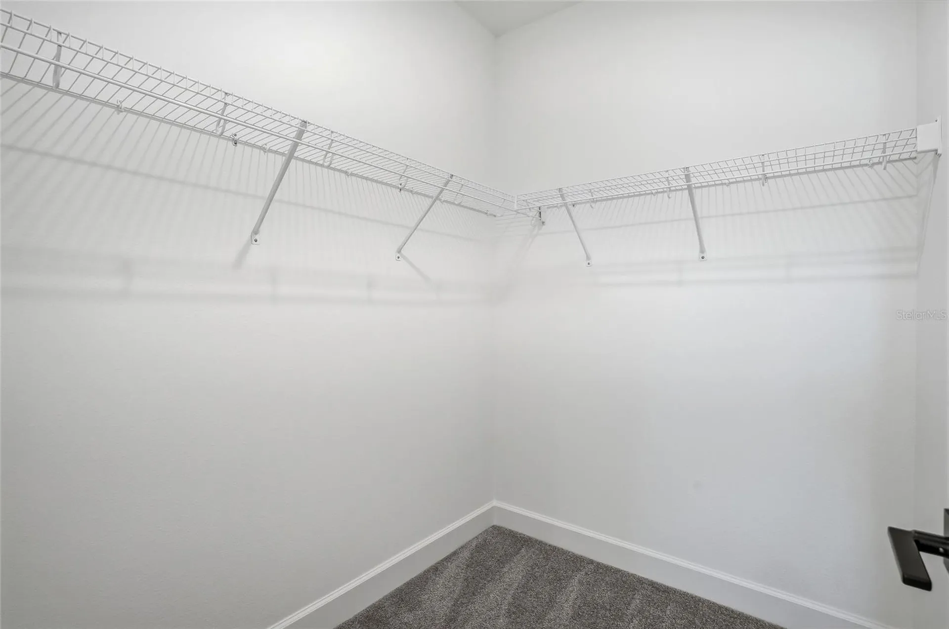 2033 Amelia Bay Place Valrico FL 33596