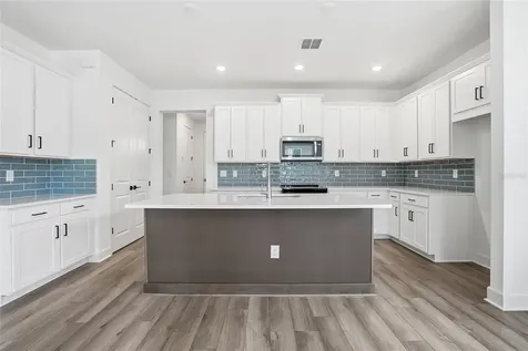 2033 Amelia Bay Place Valrico FL 33596