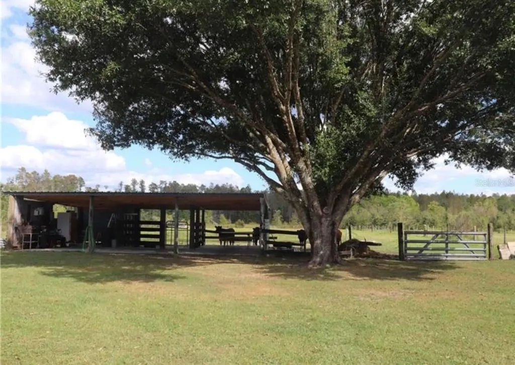7083 Tall Pine Road Polk City FL 33868