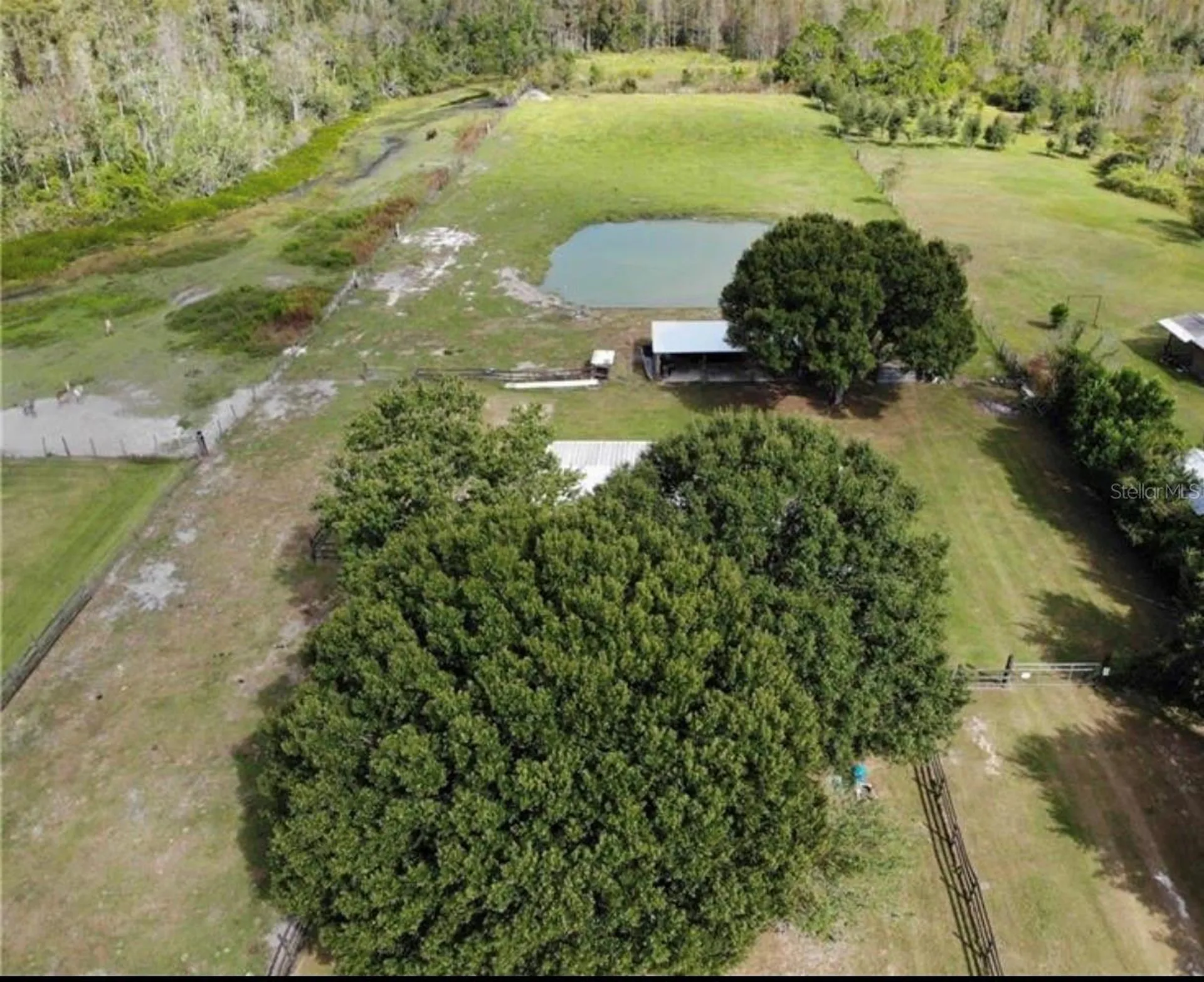 7083 Tall Pine Road Polk City FL 33868