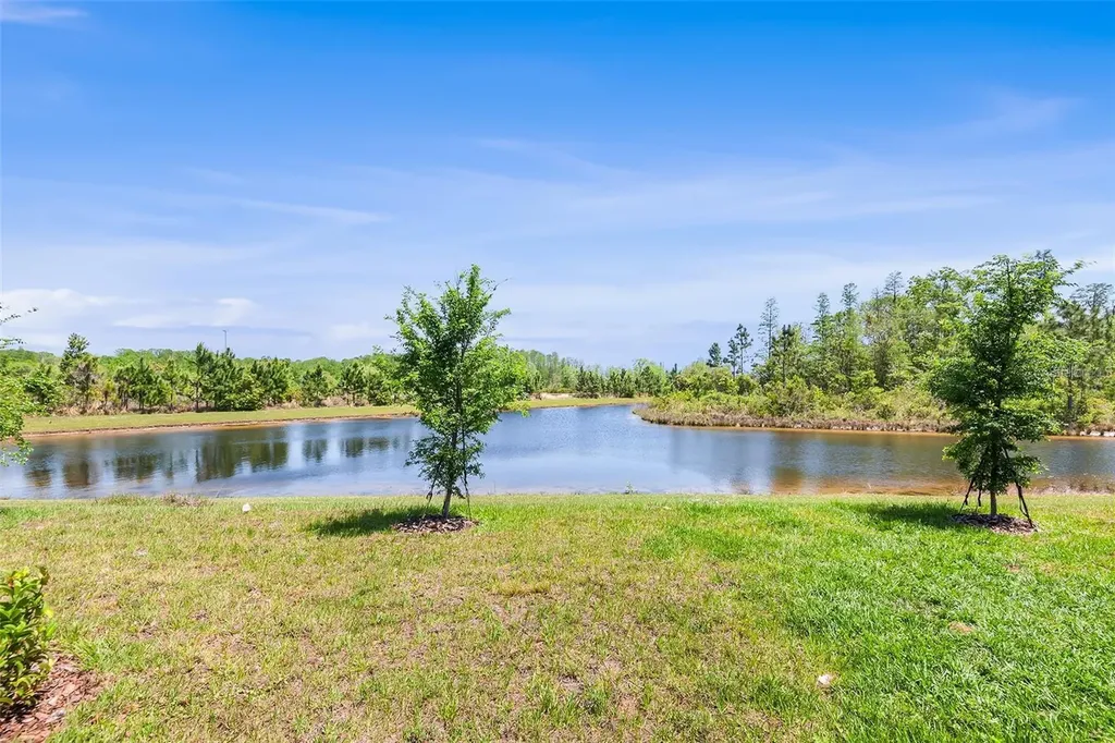11236 Crescent Deer Drive Land O Lakes FL 34638