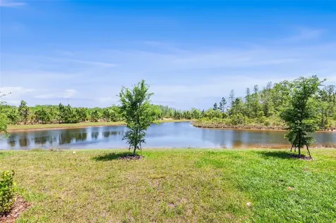 11236 Crescent Deer Drive Land O Lakes FL 34638