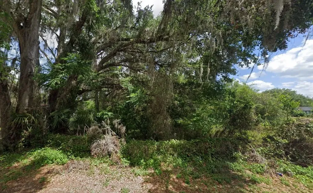 NW 2nd Webster FL 33597