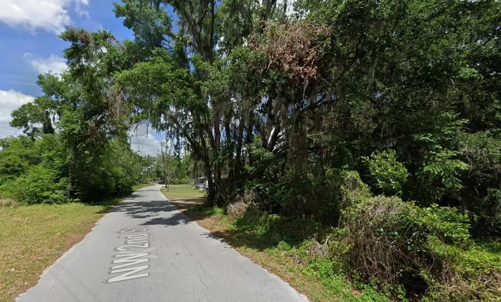 NW 2nd Webster FL 33597