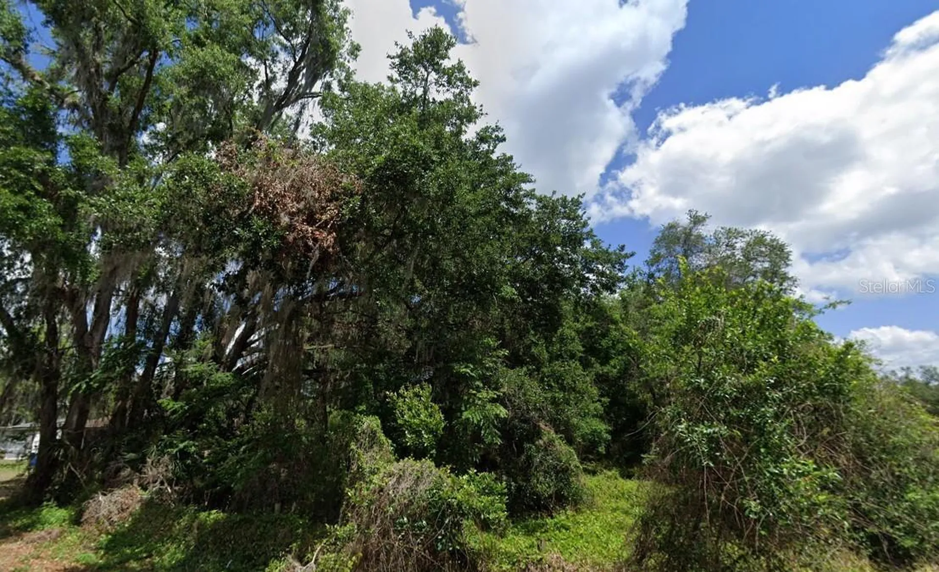 NW 2nd Webster FL 33597