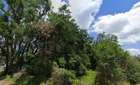 NW 2nd Webster FL 33597
