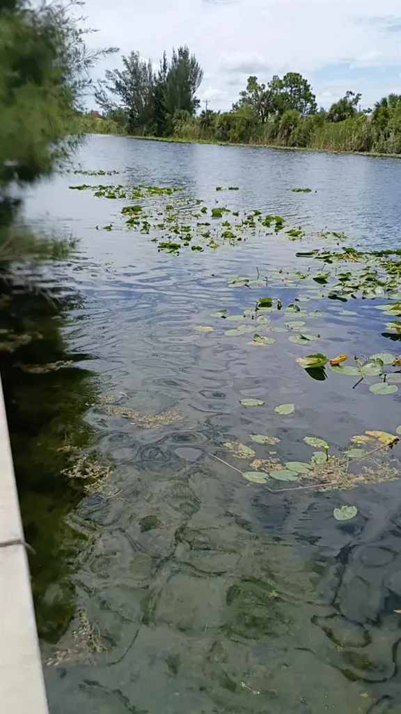 2918 NW 14th Terrace Cape Coral FL 33993