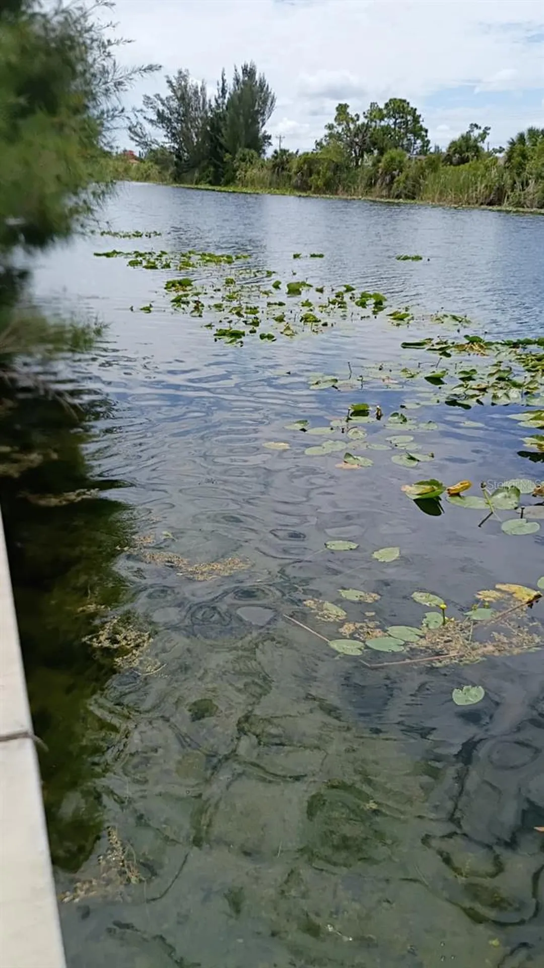 2918 NW 14th Terrace Cape Coral FL 33993